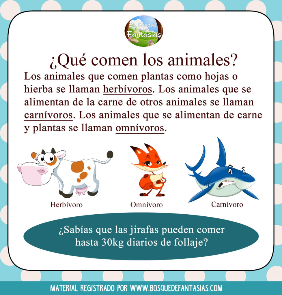 CUADERNILLO Tipos de ANIMALES y sus categorías