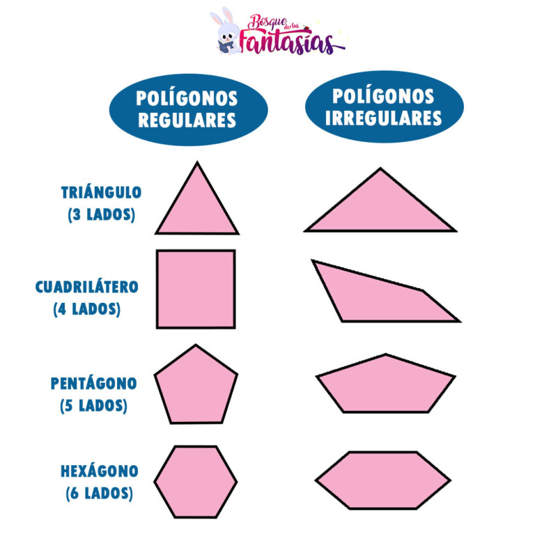 Pol Gonos Qu Son Caracter Sticas Y Cl Sificaci N