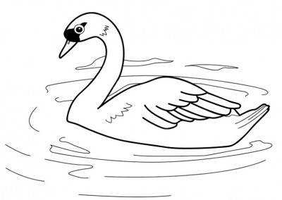 dibujo de cisne