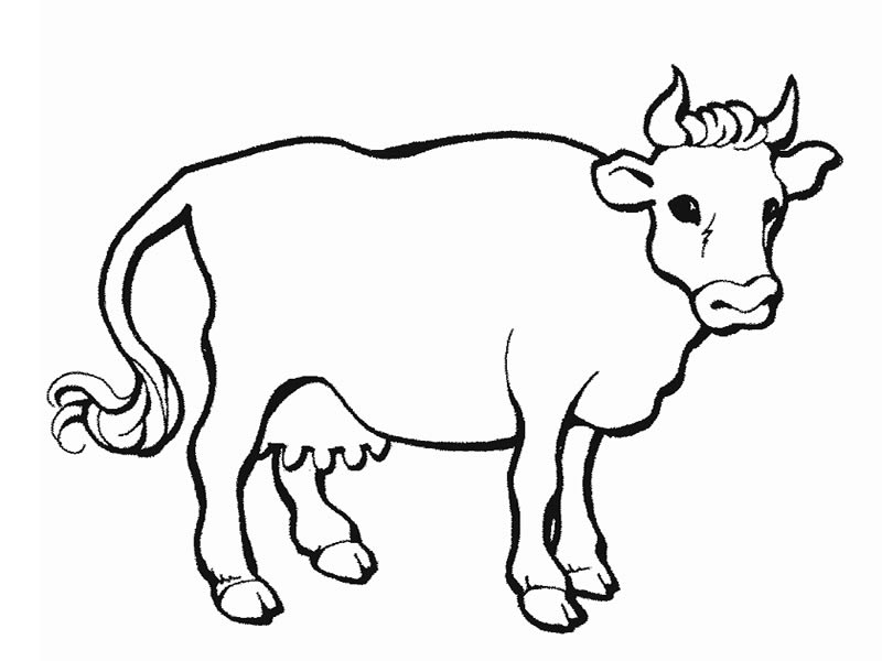  dibujo de vaca