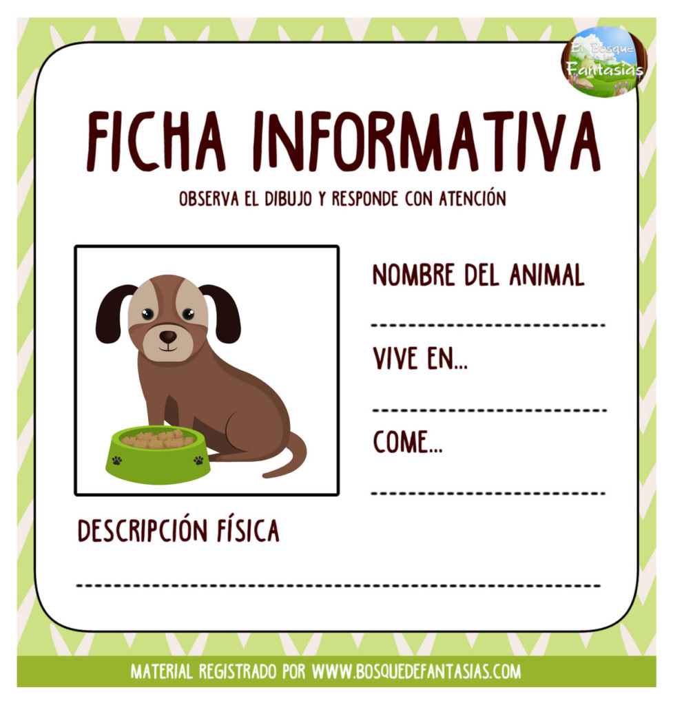 fichas informativas hoja 91
