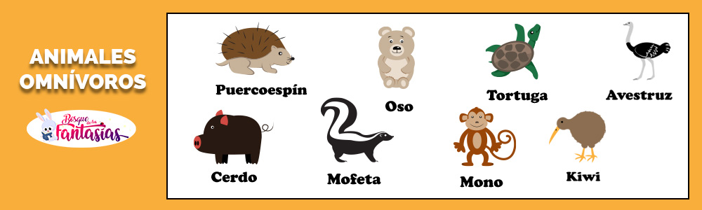 Ejemplos de definición y dibujos de animales omnívoros.