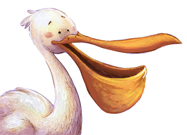 tipos de aves