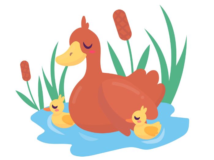 como son los patos