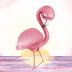 el flamenco