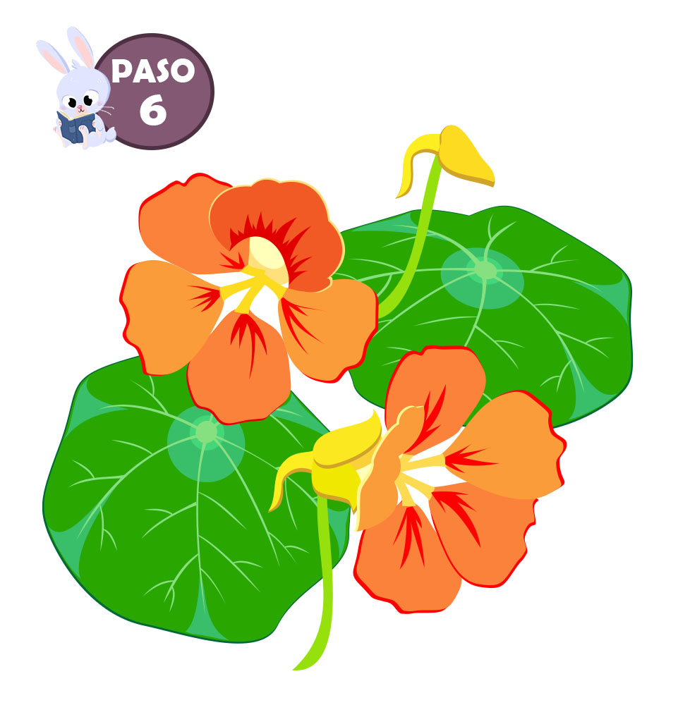 Featured image of post Como Dibujar Una Flor Paso A Paso Una forma sencilla y rapida de hacer una flor en poco tiempo y de forma muy chula y facil