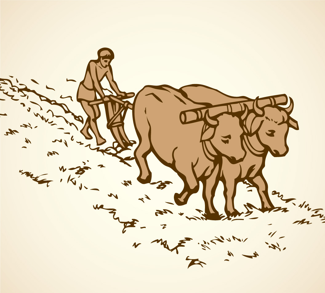 agricultura en el mesolitico