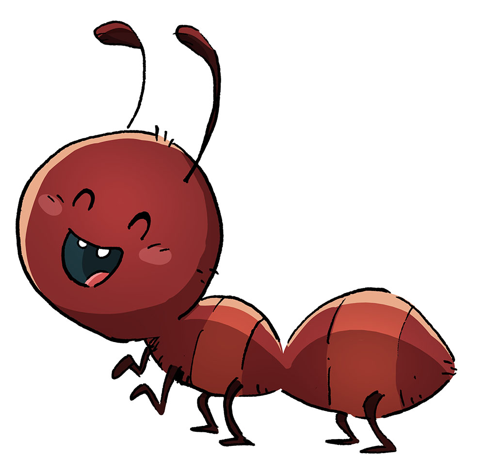 que son los insectos