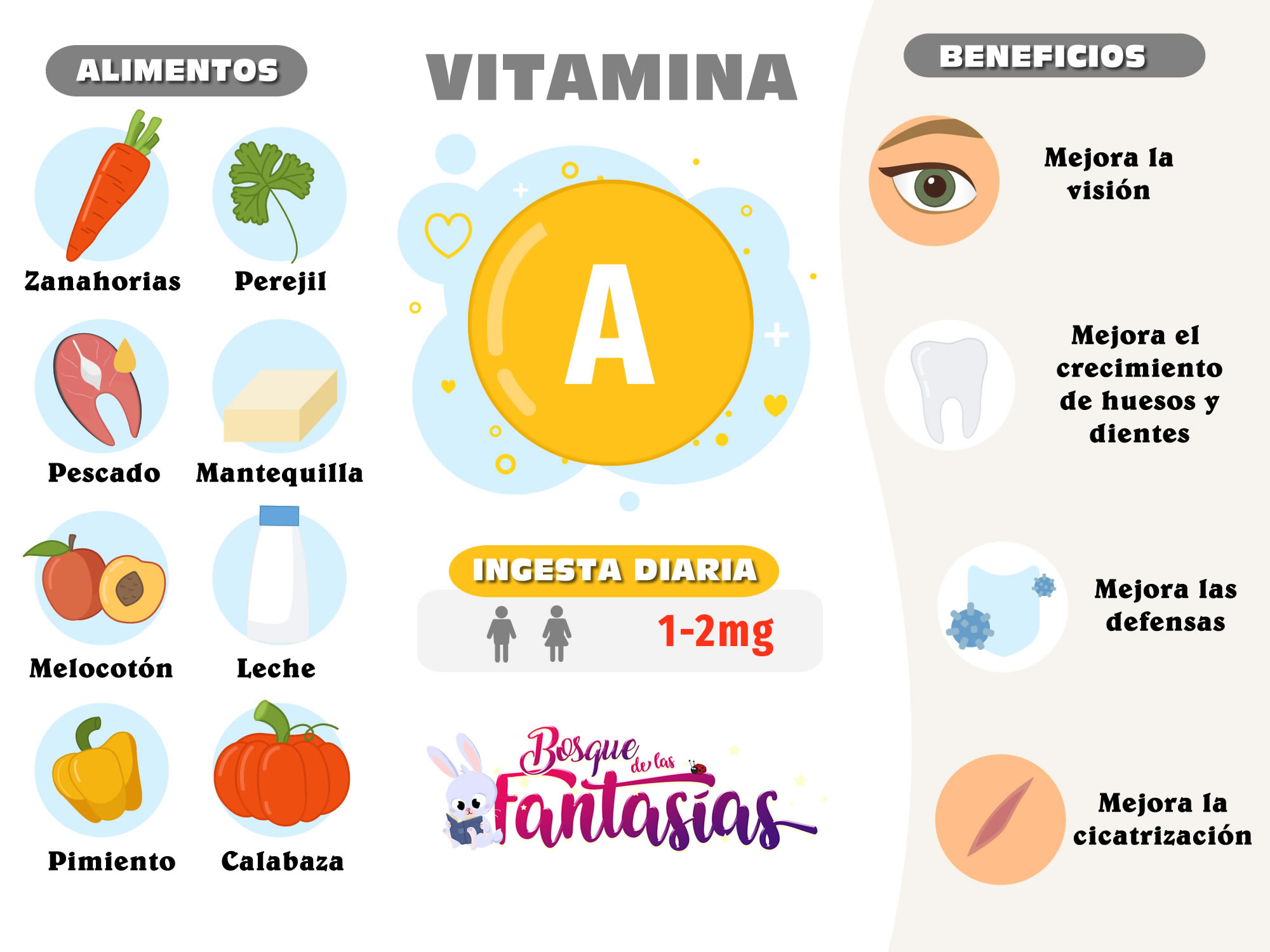 Las Vitaminas Alimentos Beneficios E Infograf As Para Primaria