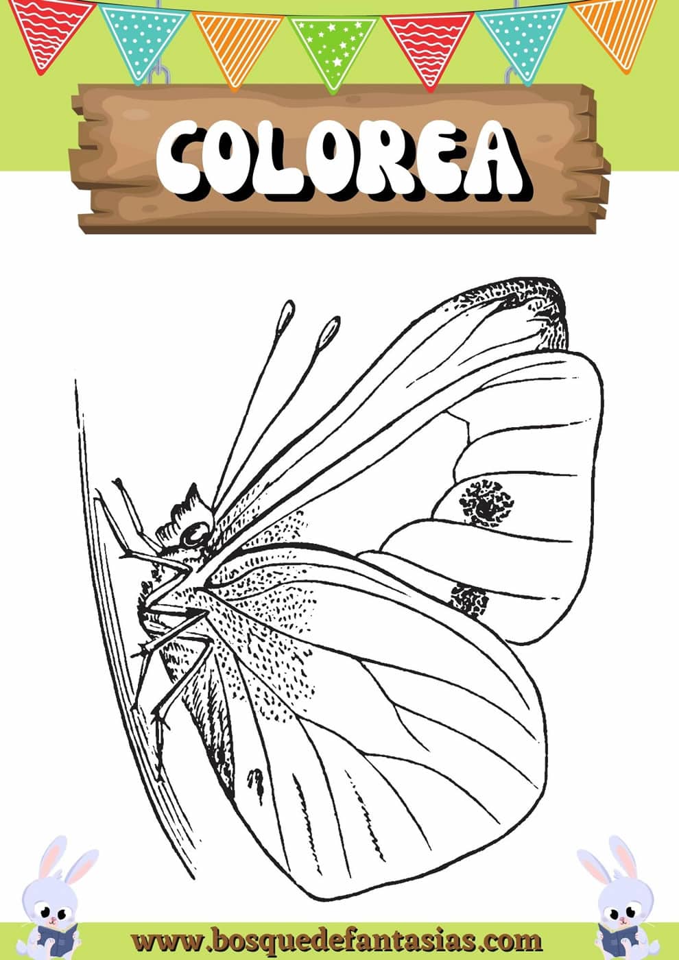 Dibujos de mariposas para colorear e imprimir: Fáciles para niños