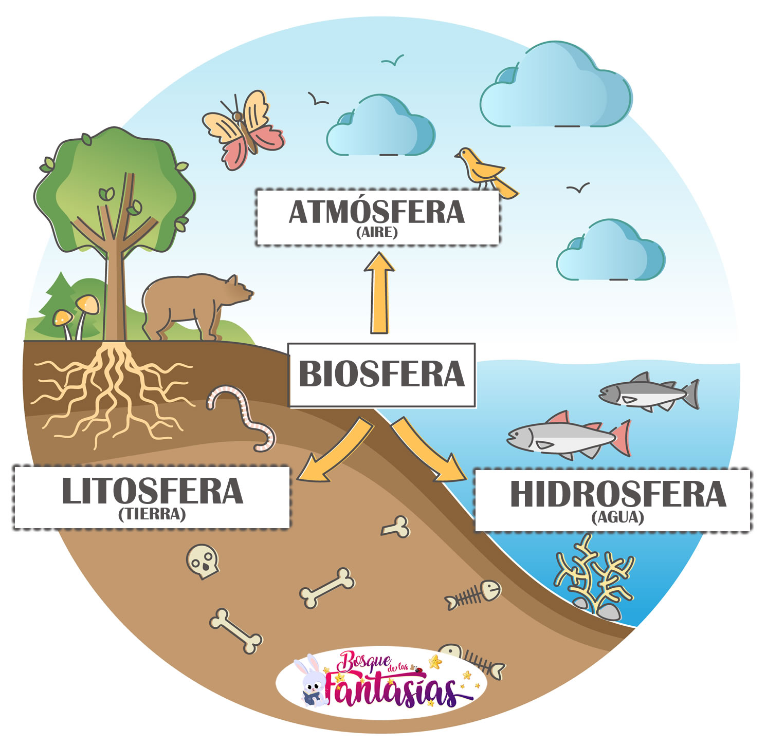 hidrosfera litosfera atmósfera biosfera