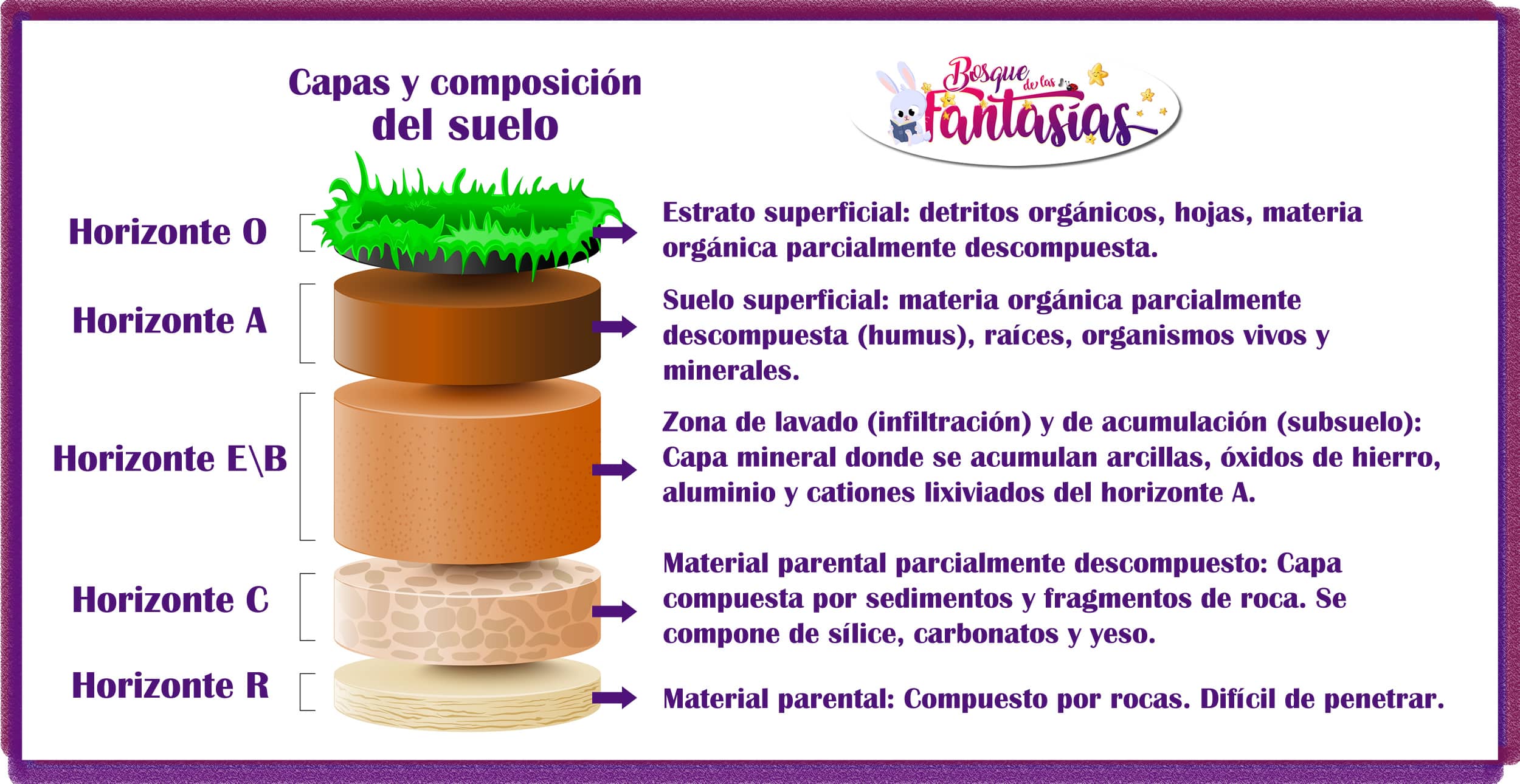 EL SUELO ® Características, composición y capas para primaria