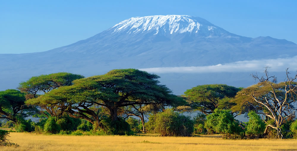 monte Kilimanjaro