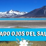 MONTE NEVADO OJOS DEL SALADO