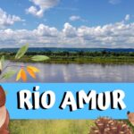 rio Amur