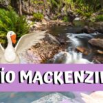 río mackenzie