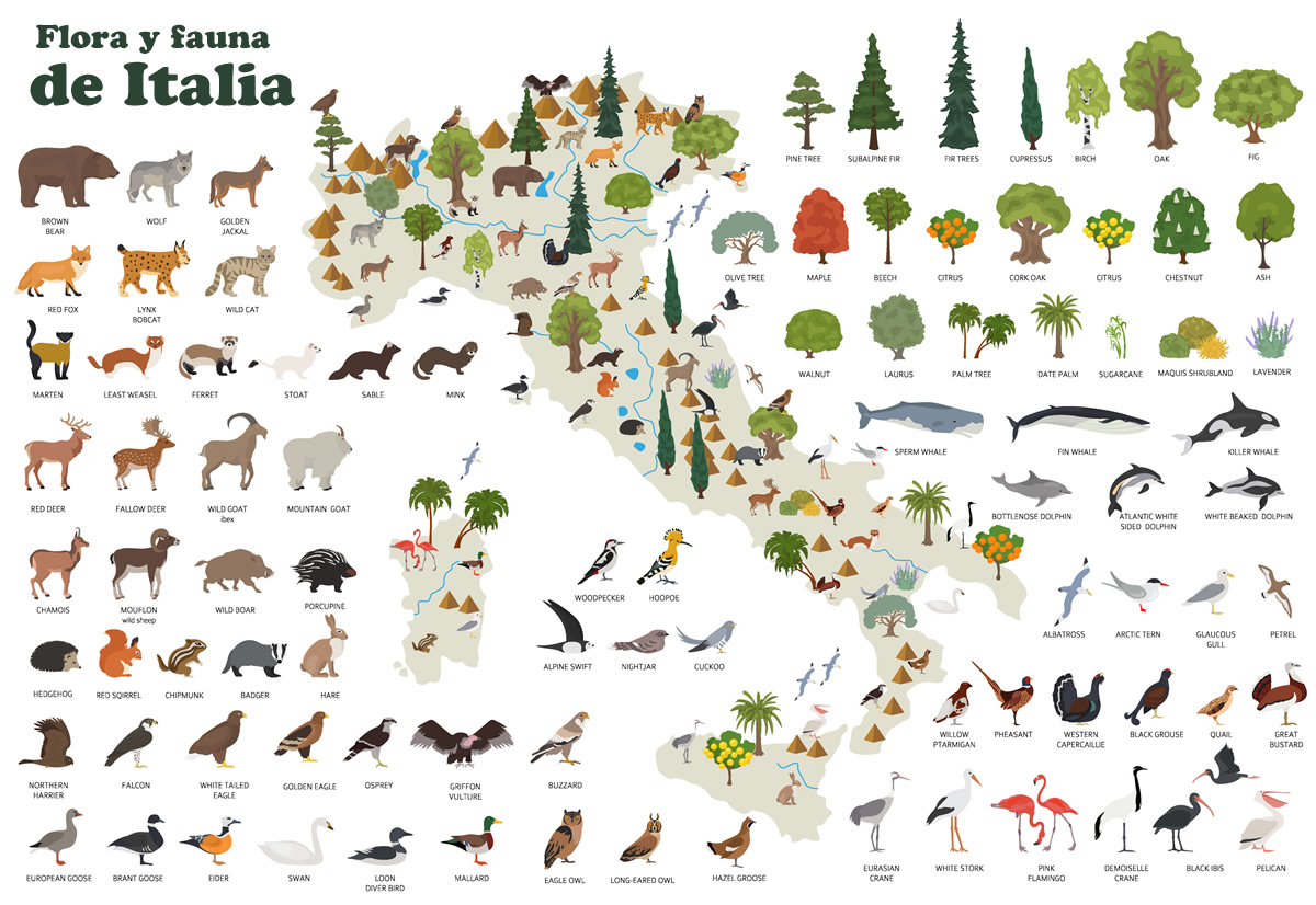 flora fauna Italia