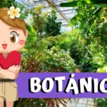 que es un botánico