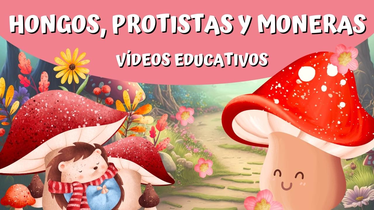 HONGOS, PROTOCTISTAS Y MONERAS ® Qué son y sus diferencias